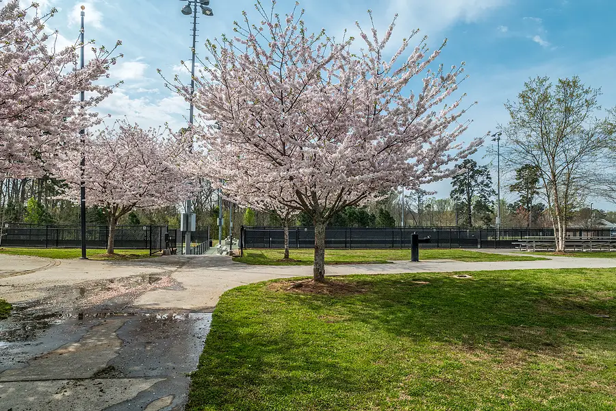 The Best Community Amenities for Virginia HOAs