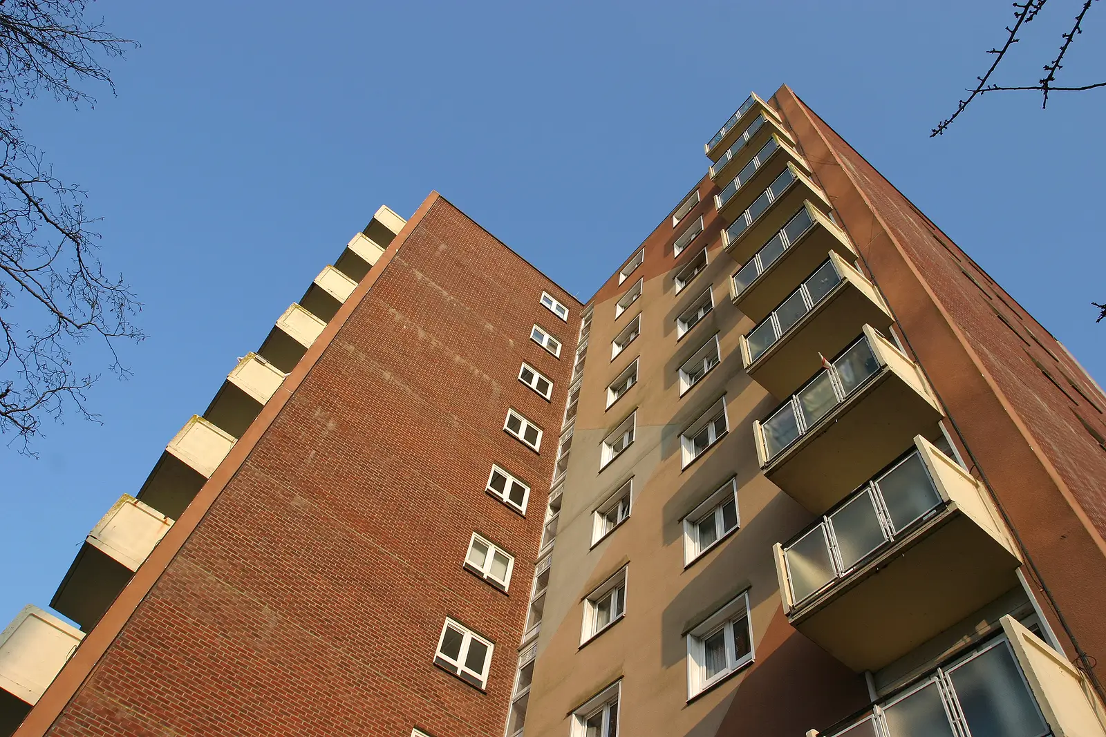 Understanding COAs: What Property Owners Should Know About Condo Associations