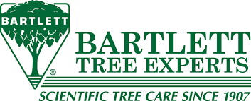 Bartlett