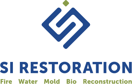 SI Restoration